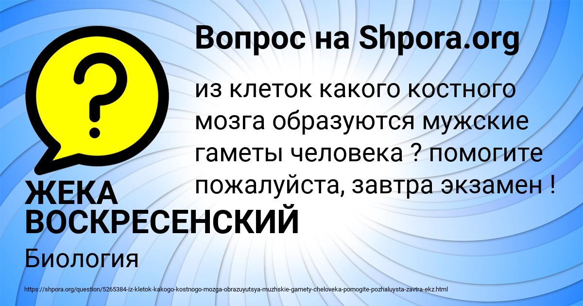 Картинка с текстом вопроса от пользователя Полина Голова