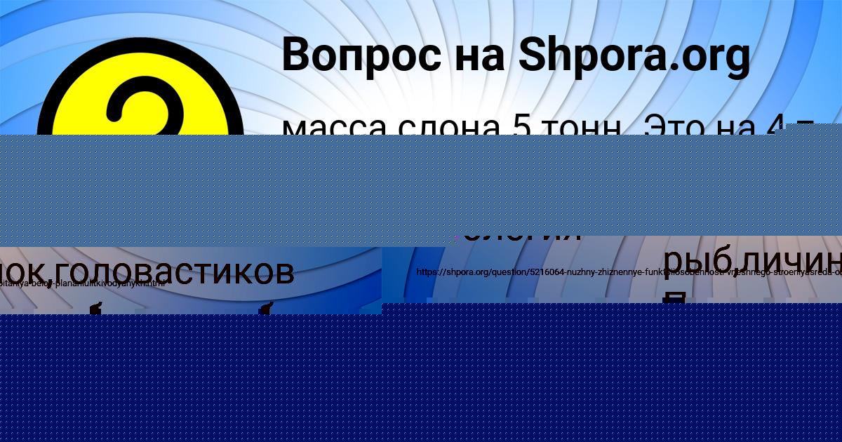 Картинка с текстом вопроса от пользователя Виталий Смоляренко