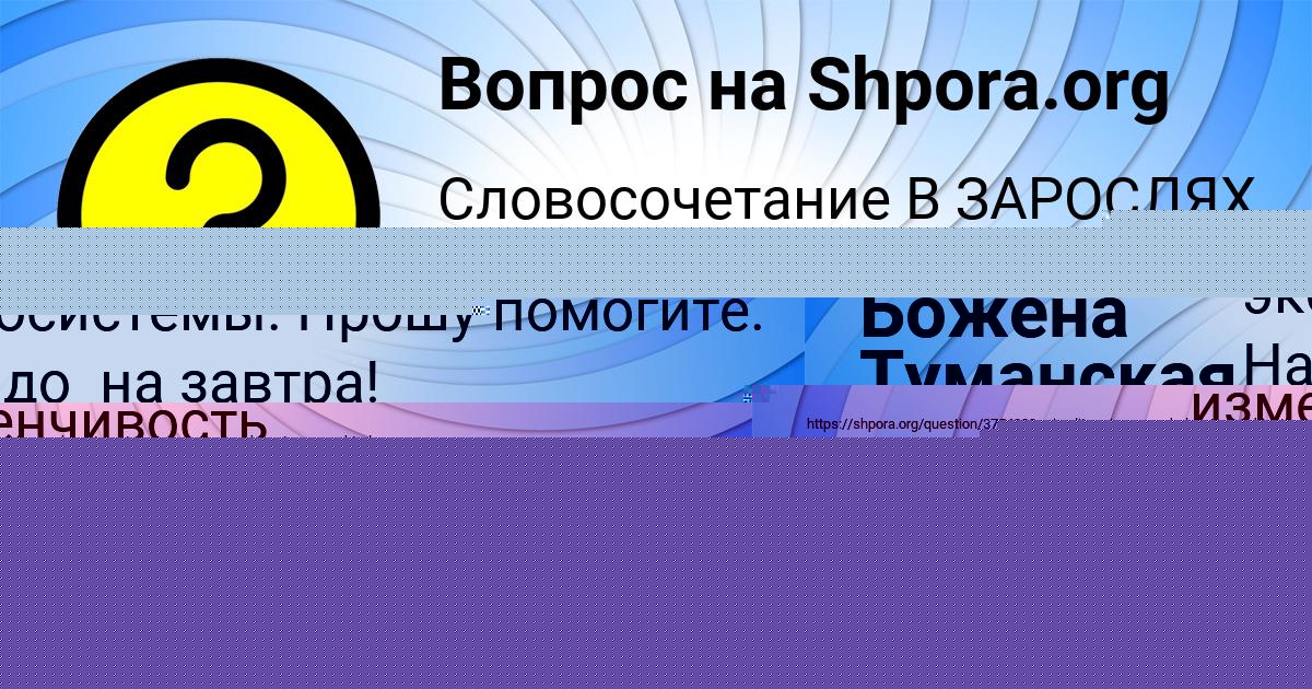 Картинка с текстом вопроса от пользователя Медина Бабура