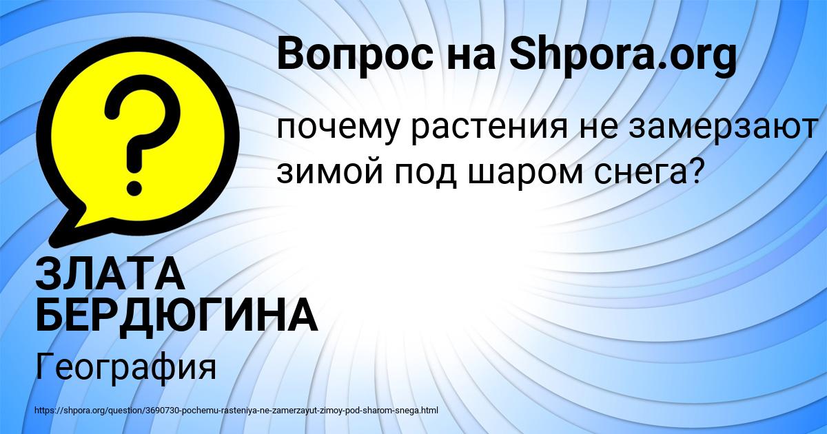 Картинка с текстом вопроса от пользователя ЗЛАТА БЕРДЮГИНА
