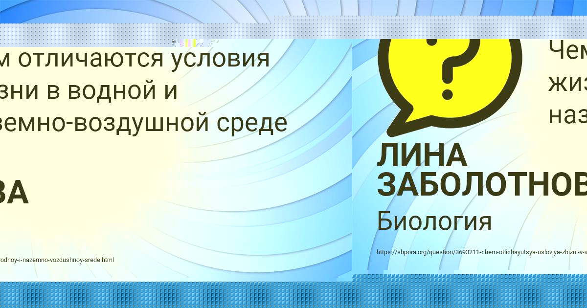 Картинка с текстом вопроса от пользователя ЛИНА ЗАБОЛОТНОВА