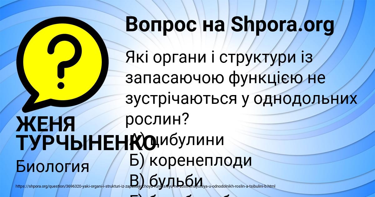Картинка с текстом вопроса от пользователя ЖЕНЯ ТУРЧЫНЕНКО