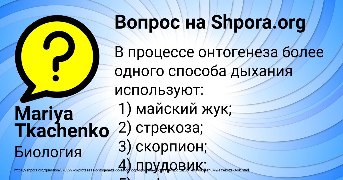 Картинка с текстом вопроса от пользователя Mariya Tkachenko