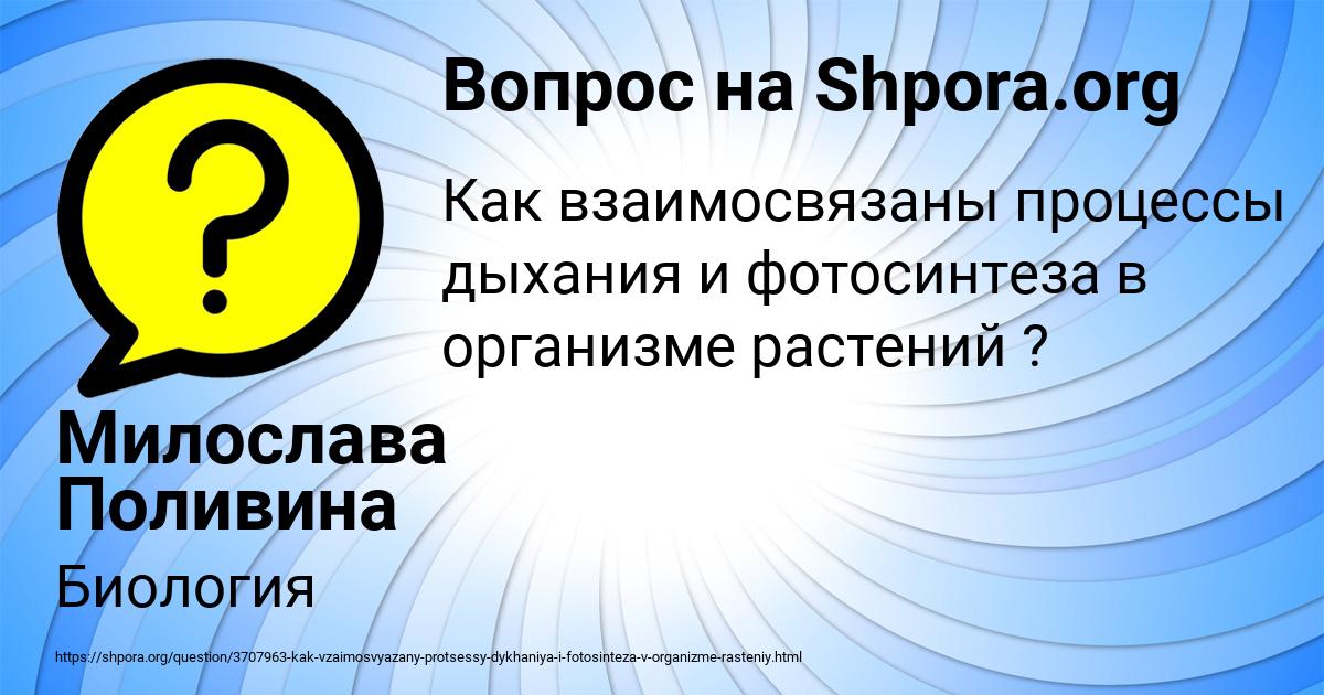 Картинка с текстом вопроса от пользователя Милослава Поливина