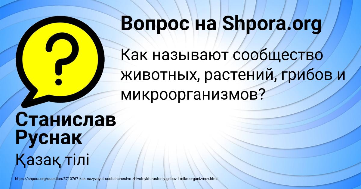 Картинка с текстом вопроса от пользователя Станислав Руснак