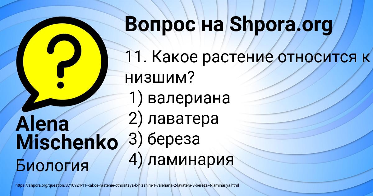Картинка с текстом вопроса от пользователя Alena Mischenko