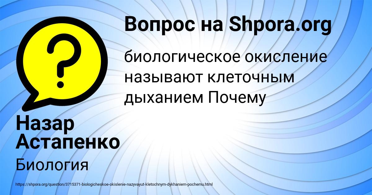 Картинка с текстом вопроса от пользователя Назар Астапенко 