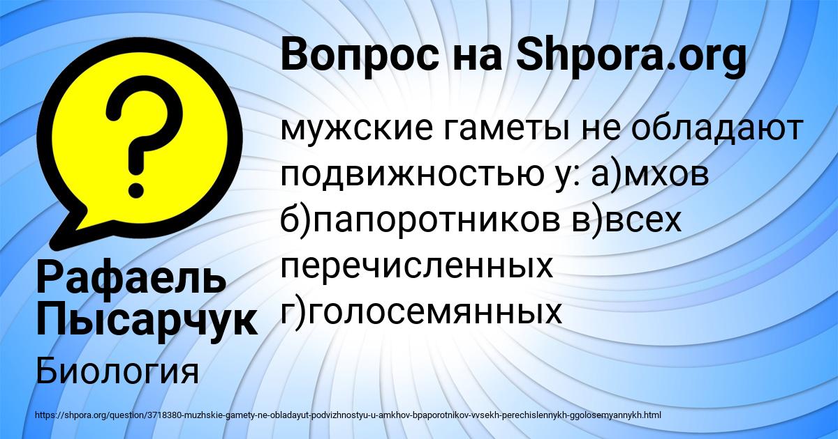 Картинка с текстом вопроса от пользователя Рафаель Пысарчук