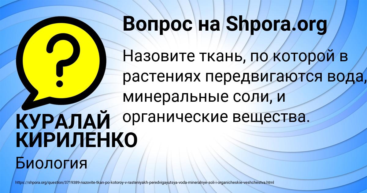 Картинка с текстом вопроса от пользователя КУРАЛАЙ КИРИЛЕНКО