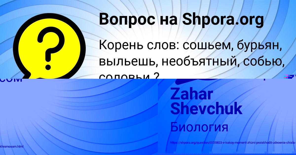 Картинка с текстом вопроса от пользователя Zahar Shevchuk