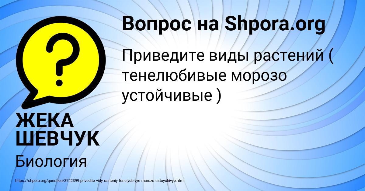 Картинка с текстом вопроса от пользователя ЖЕКА ШЕВЧУК