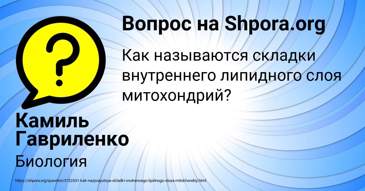Картинка с текстом вопроса от пользователя Камиль Гавриленко