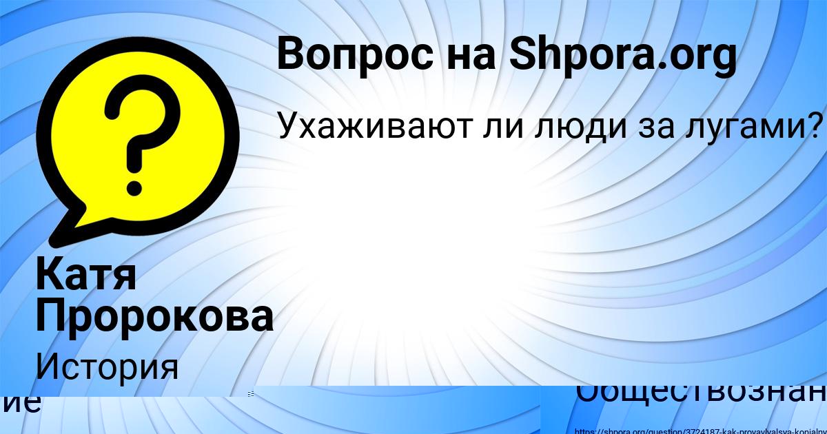 Картинка с текстом вопроса от пользователя Вика Антипенко
