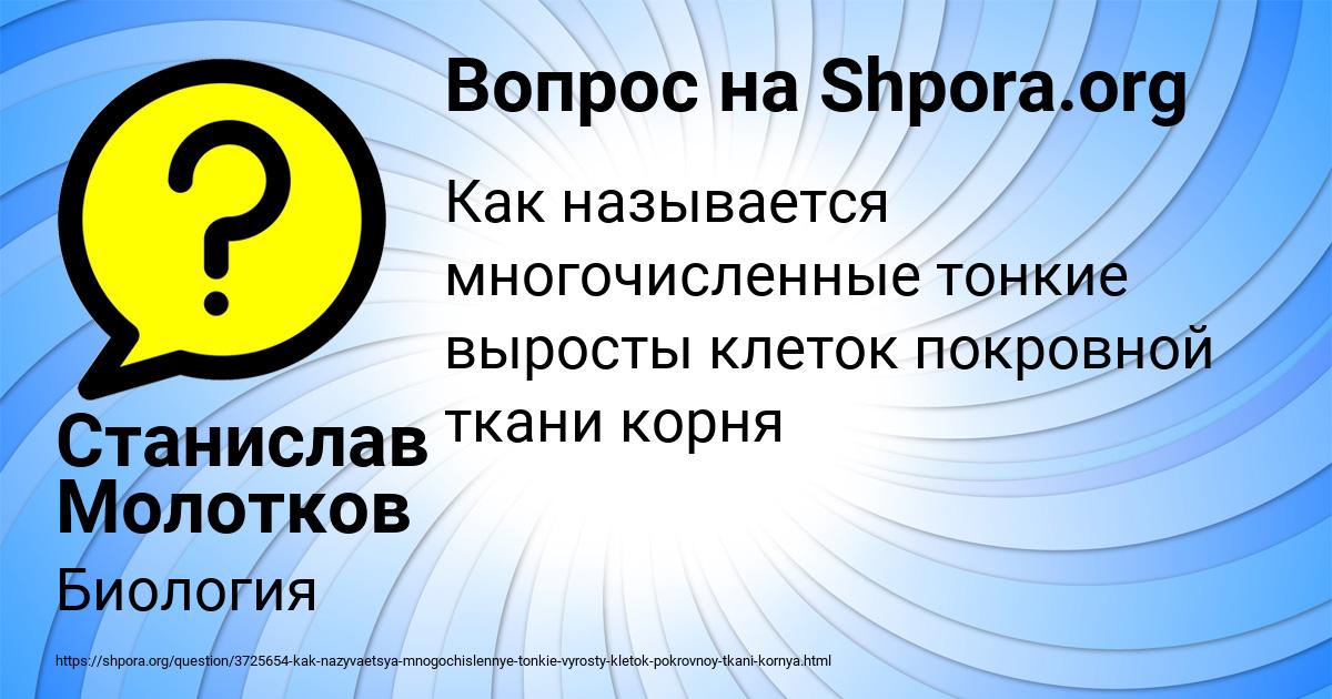 Картинка с текстом вопроса от пользователя Станислав Молотков
