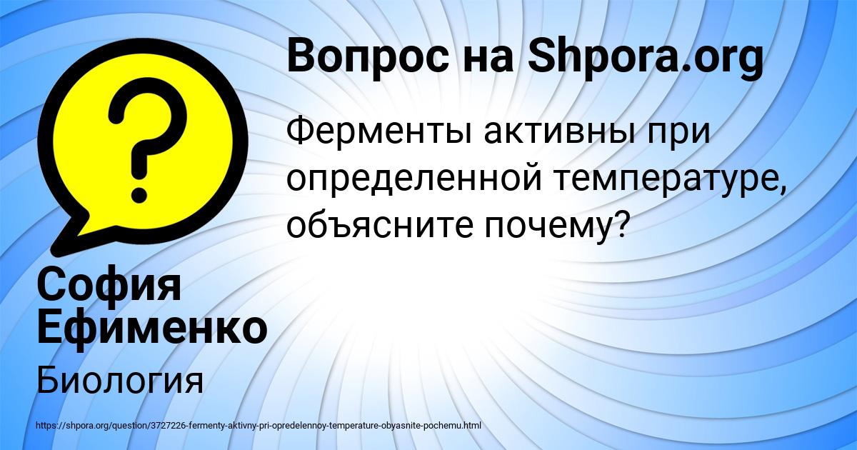Картинка с текстом вопроса от пользователя София Ефименко