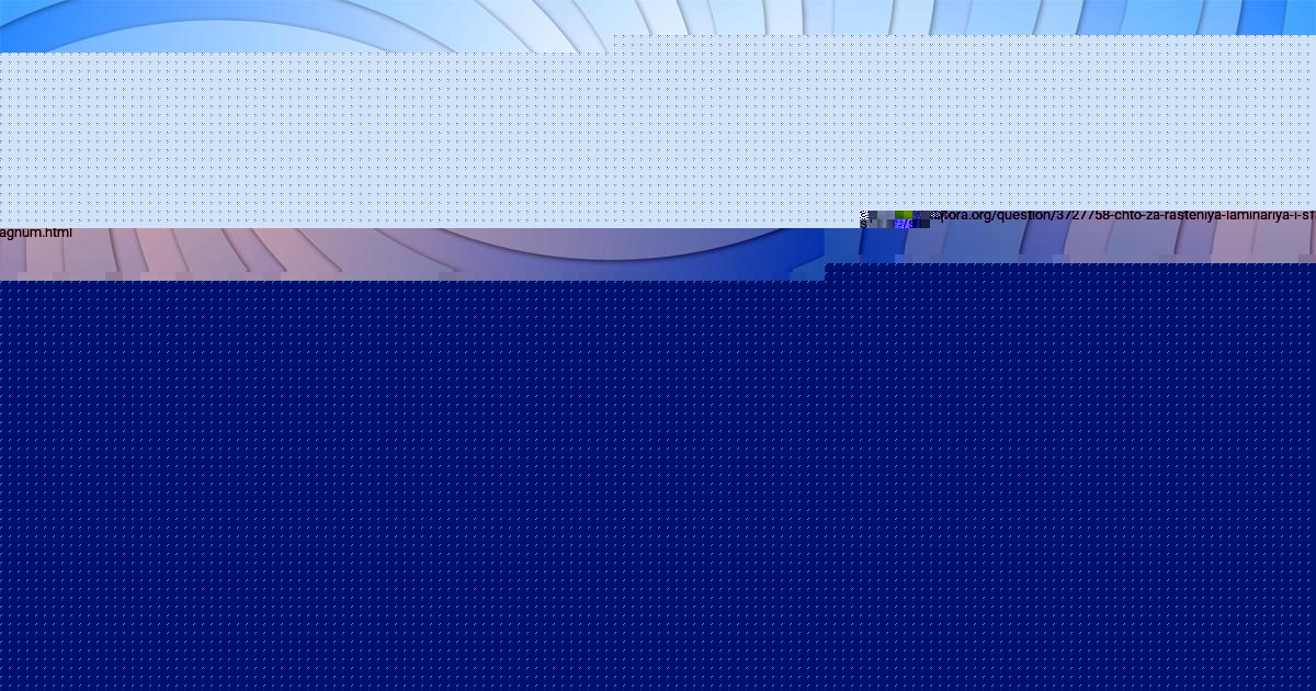 Картинка с текстом вопроса от пользователя Руслан Сом