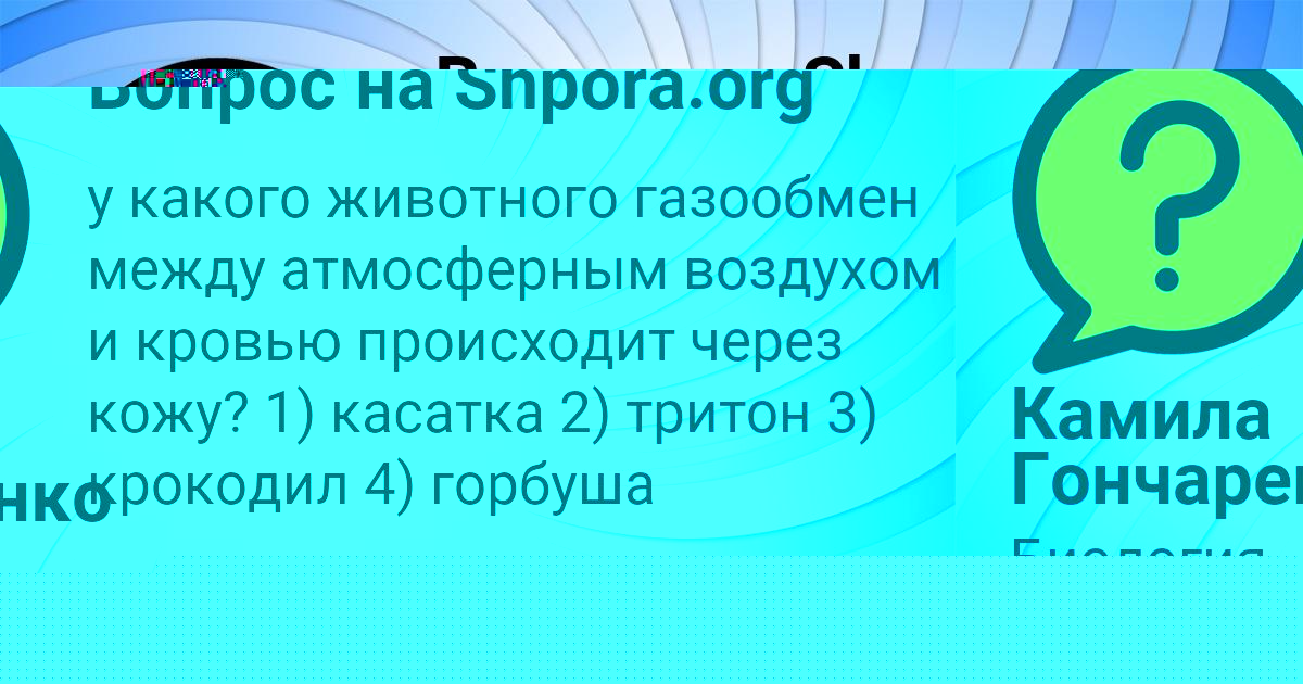 Картинка с текстом вопроса от пользователя Деня Артеменко