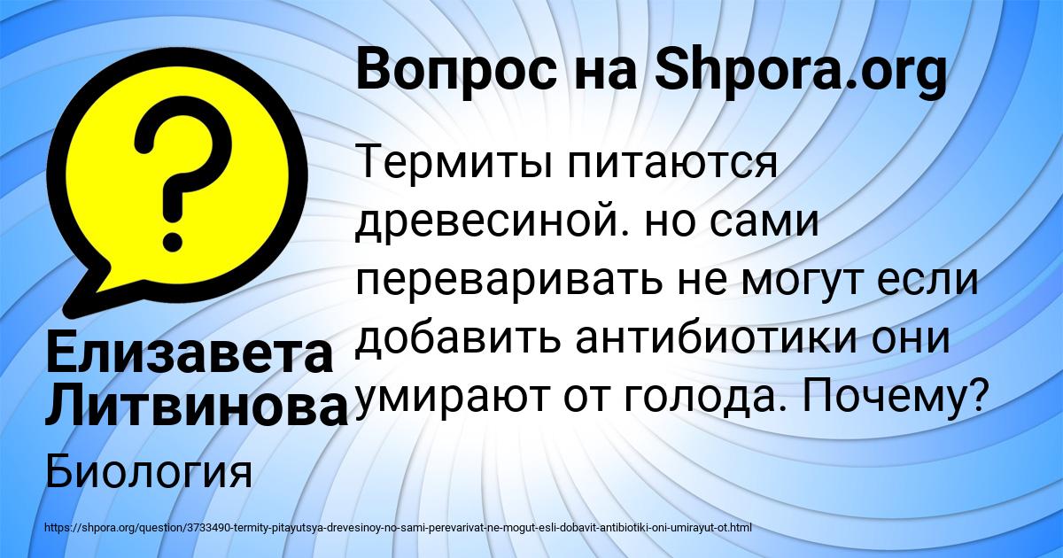 Картинка с текстом вопроса от пользователя Елизавета Литвинова