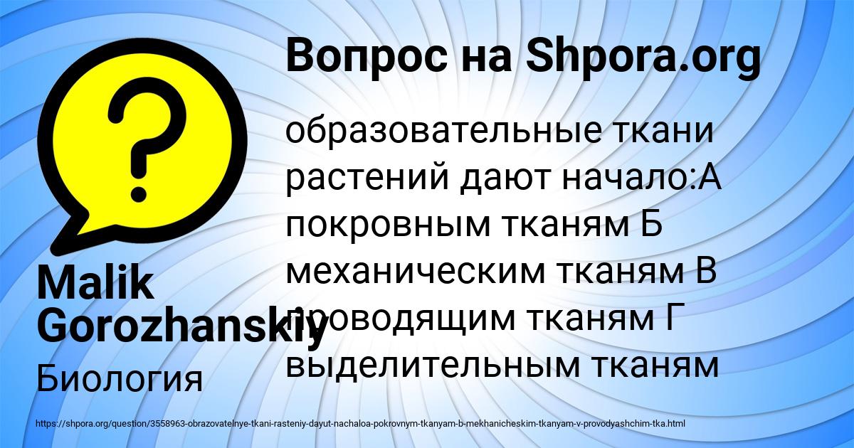 Картинка с текстом вопроса от пользователя МЕДИНА СТОЛЯРЕНКО