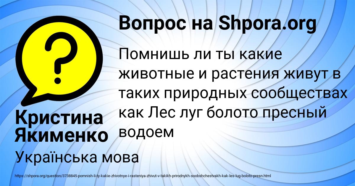 Картинка с текстом вопроса от пользователя Кристина Якименко