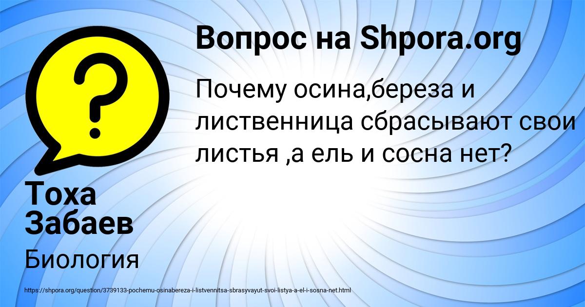 Картинка с текстом вопроса от пользователя Тоха Забаев