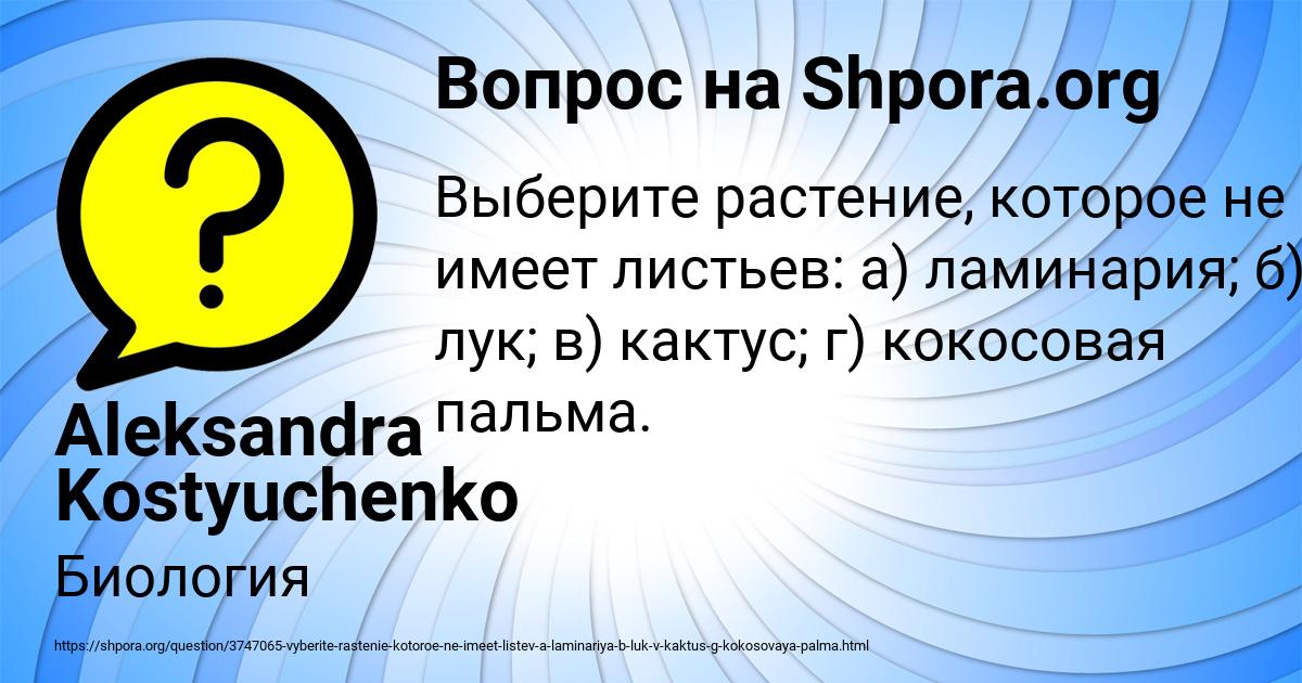 Картинка с текстом вопроса от пользователя Aleksandra Kostyuchenko