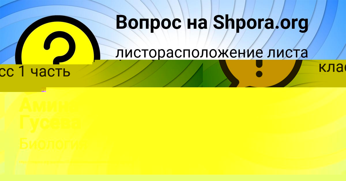 Картинка с текстом вопроса от пользователя Амина Гусева