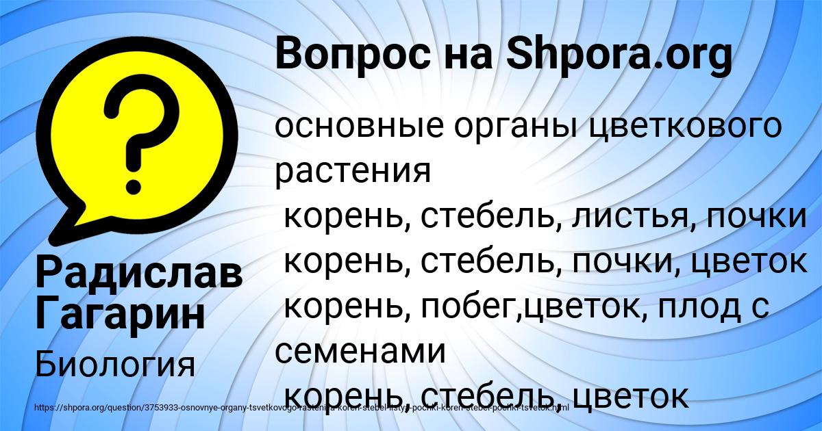 Картинка с текстом вопроса от пользователя Радислав Гагарин