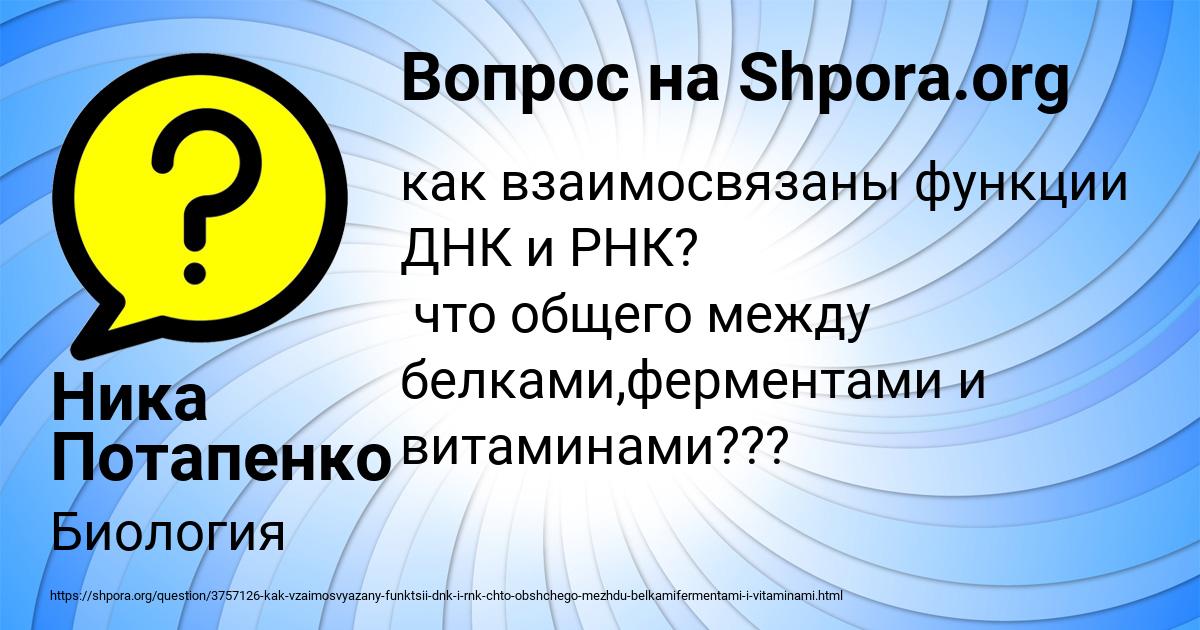 Картинка с текстом вопроса от пользователя Ника Потапенко