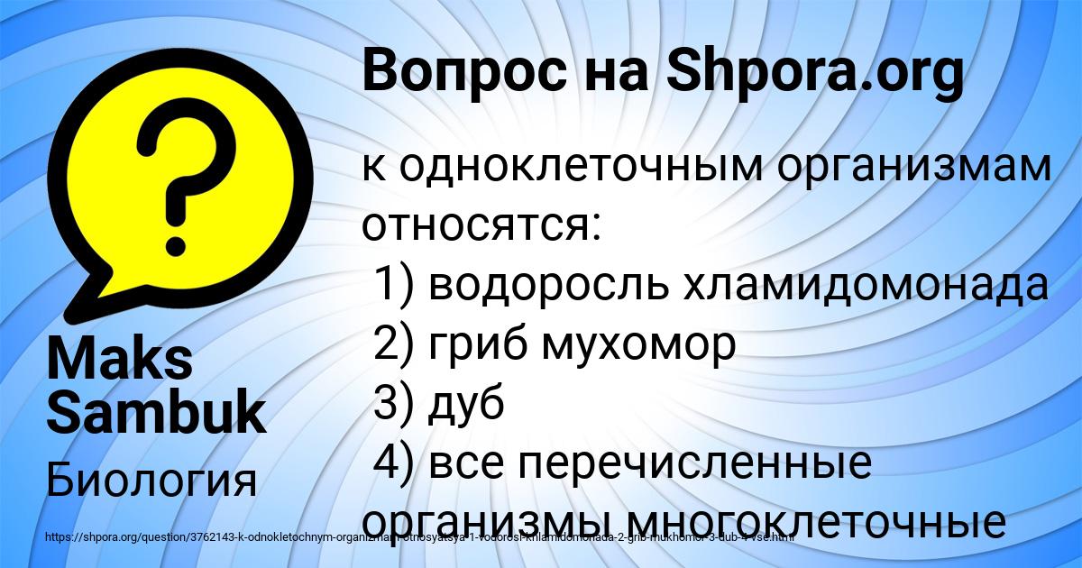 Картинка с текстом вопроса от пользователя Maks Sambuk