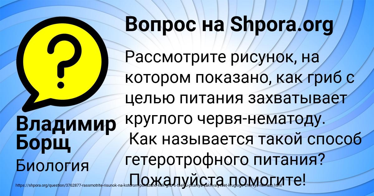 Картинка с текстом вопроса от пользователя Владимир Борщ