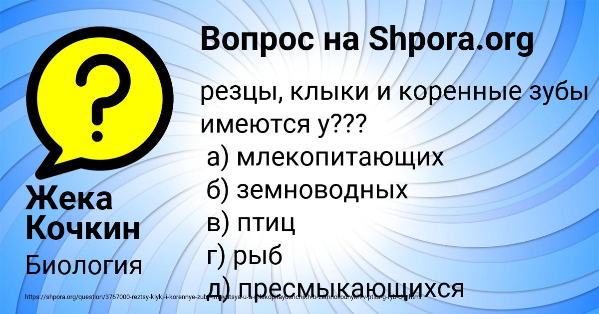 Картинка с текстом вопроса от пользователя Жека Кочкин