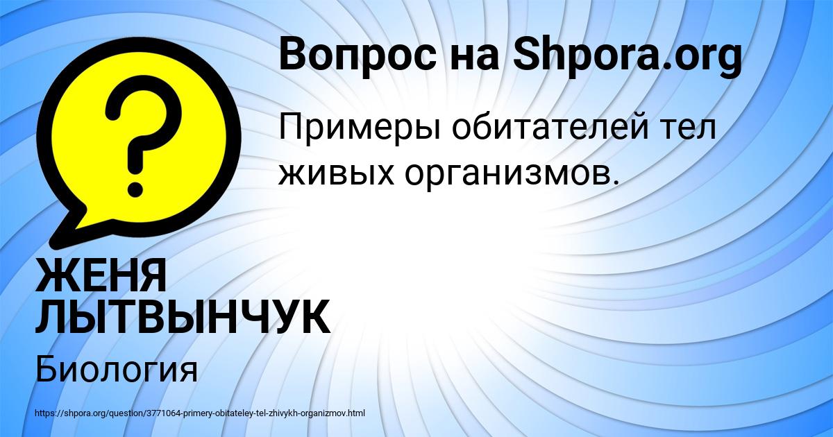 Картинка с текстом вопроса от пользователя ЖЕНЯ ЛЫТВЫНЧУК