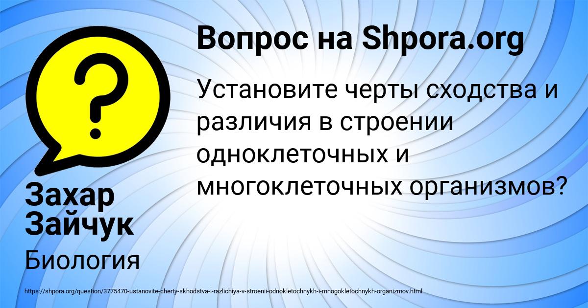 Картинка с текстом вопроса от пользователя Захар Зайчук