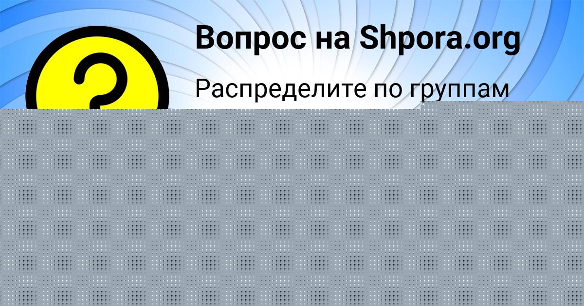 Картинка с текстом вопроса от пользователя СТАСЯ КОШЕЛЕВА