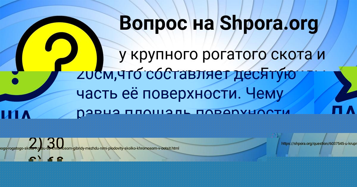 Картинка с текстом вопроса от пользователя ДАША ГЛУХОВА