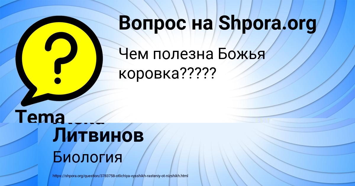 Картинка с текстом вопроса от пользователя Жека Литвинов