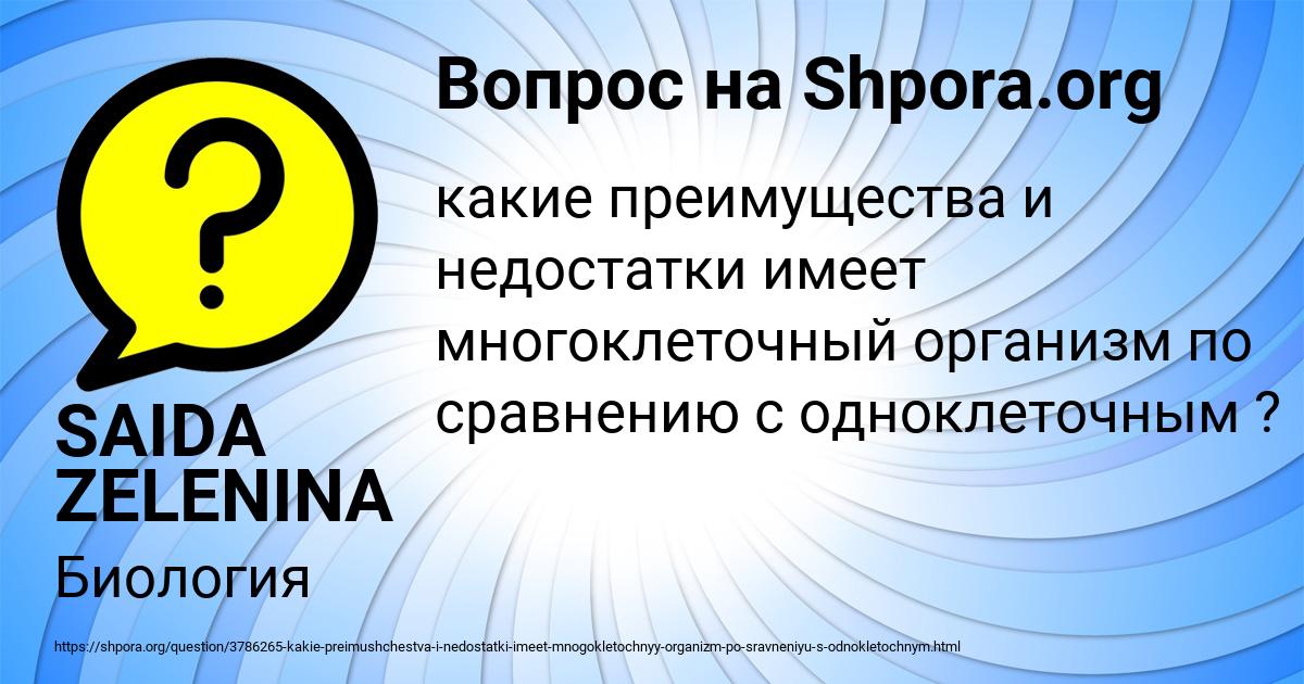 Картинка с текстом вопроса от пользователя SAIDA ZELENINA