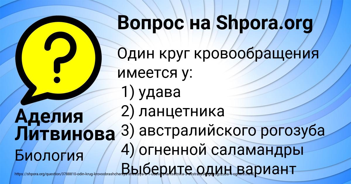 Картинка с текстом вопроса от пользователя Аделия Литвинова
