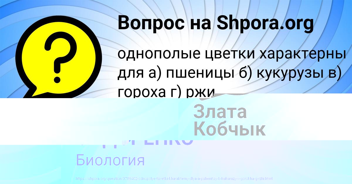 Картинка с текстом вопроса от пользователя МАША СИДОРЕНКО