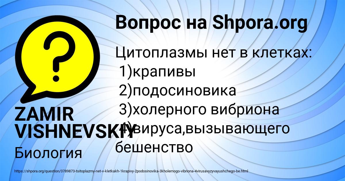 Картинка с текстом вопроса от пользователя ZAMIR VISHNEVSKIY