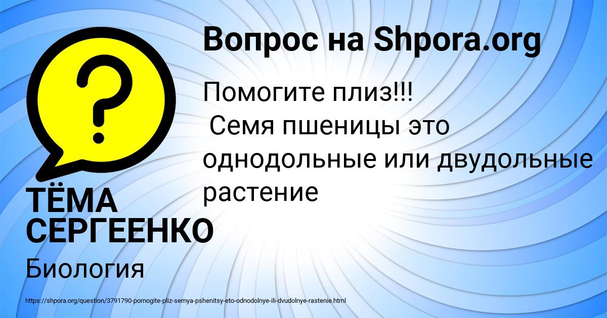 Картинка с текстом вопроса от пользователя ТЁМА СЕРГЕЕНКО
