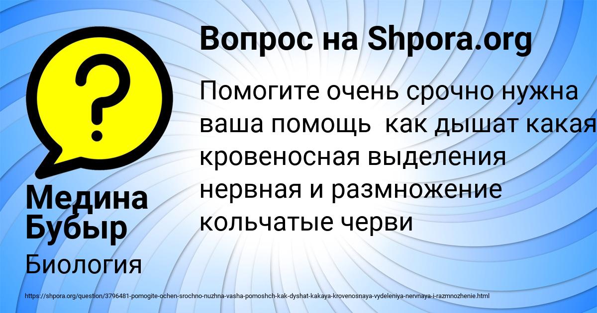 Картинка с текстом вопроса от пользователя Медина Бубыр