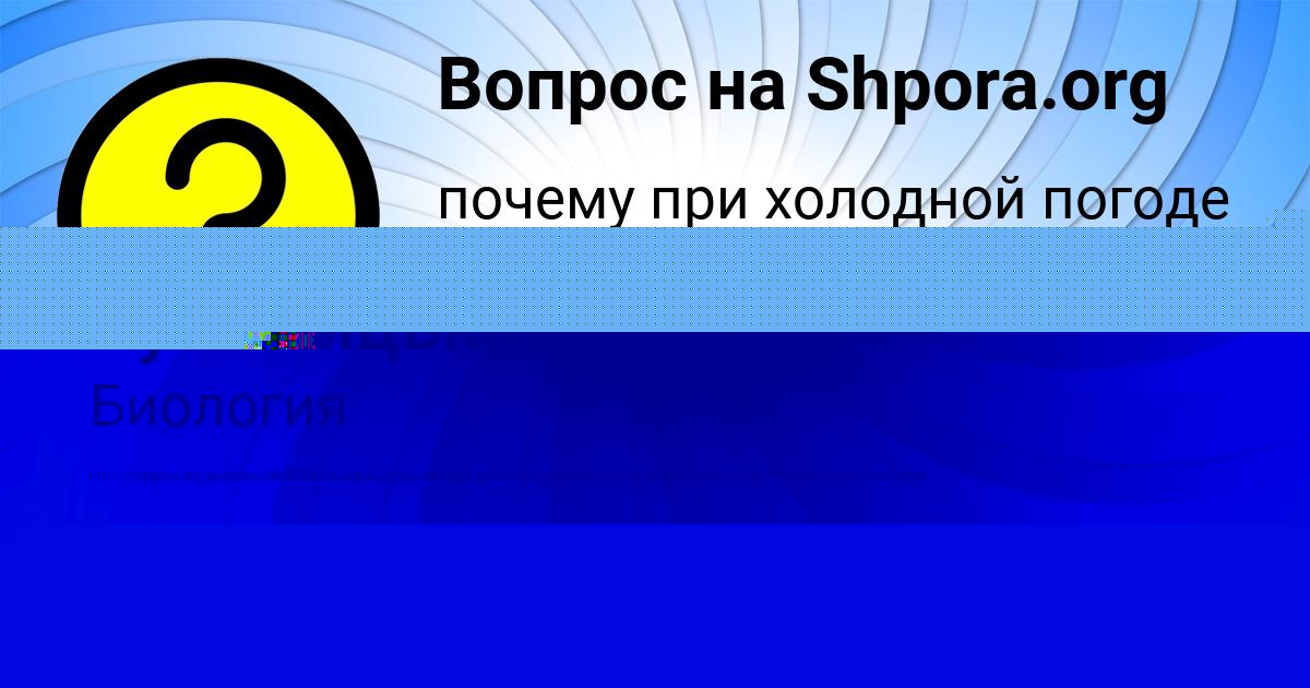 Картинка с текстом вопроса от пользователя Айжан Кульчыцькая