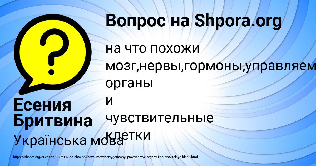 Картинка с текстом вопроса от пользователя Есения Бритвина