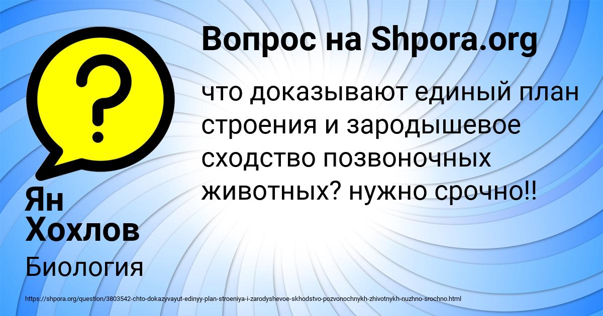 Картинка с текстом вопроса от пользователя Ян Хохлов