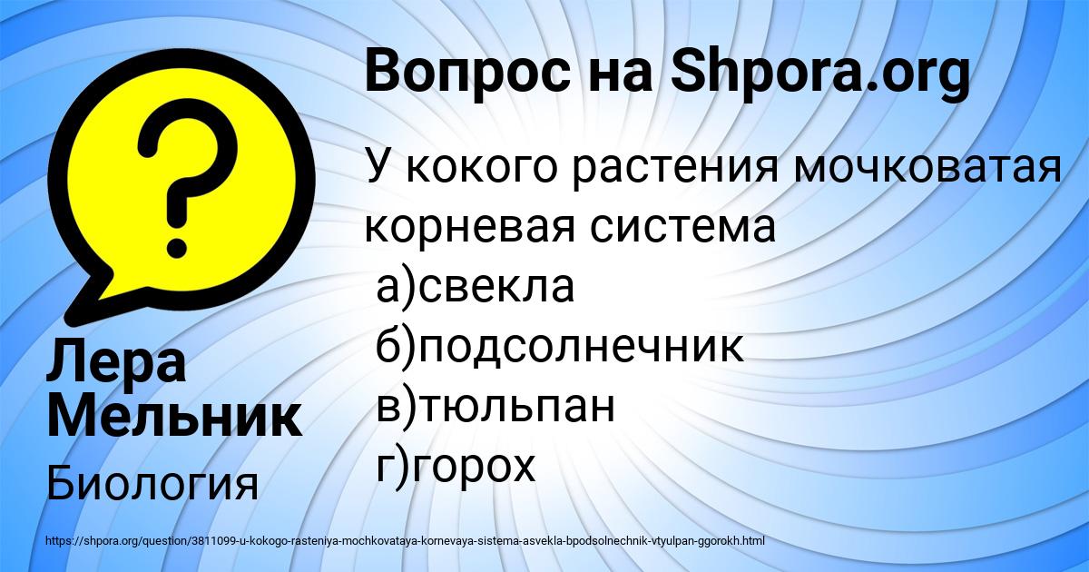 Картинка с текстом вопроса от пользователя Лера Мельник