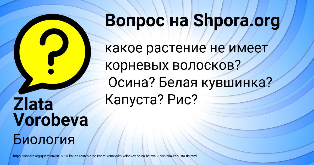 Картинка с текстом вопроса от пользователя Zlata Vorobeva