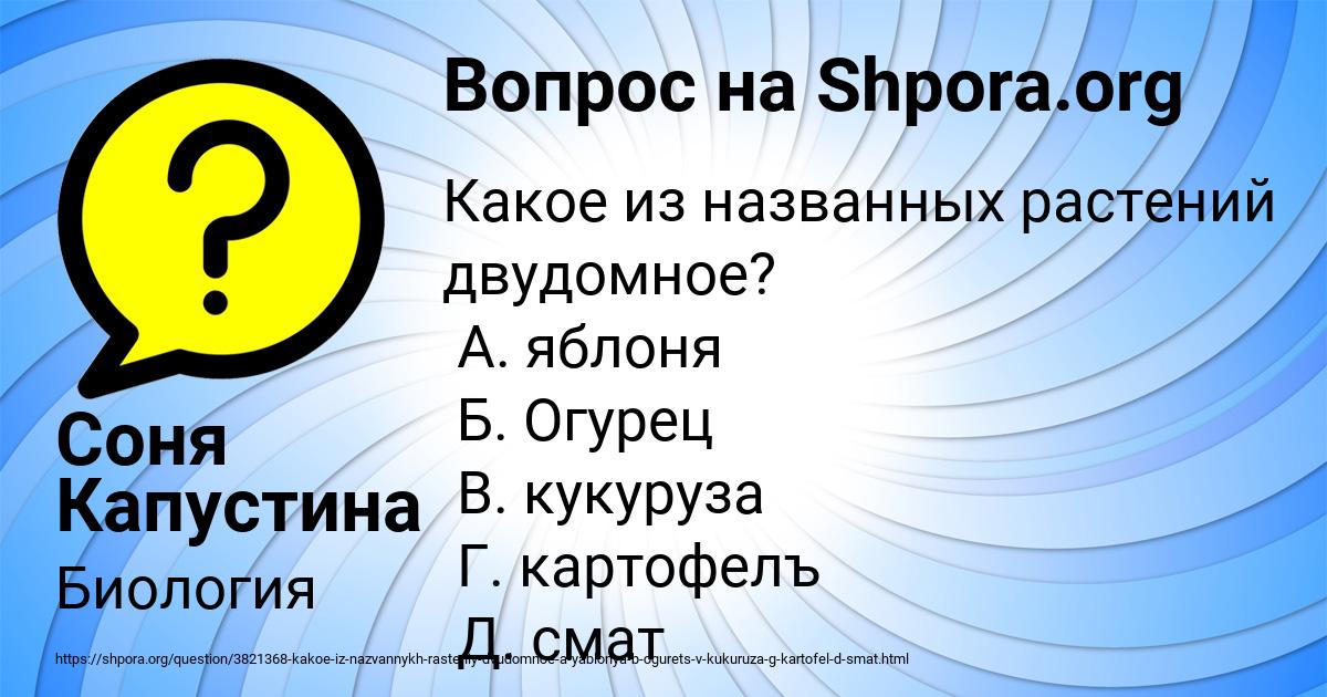 Картинка с текстом вопроса от пользователя Соня Капустина