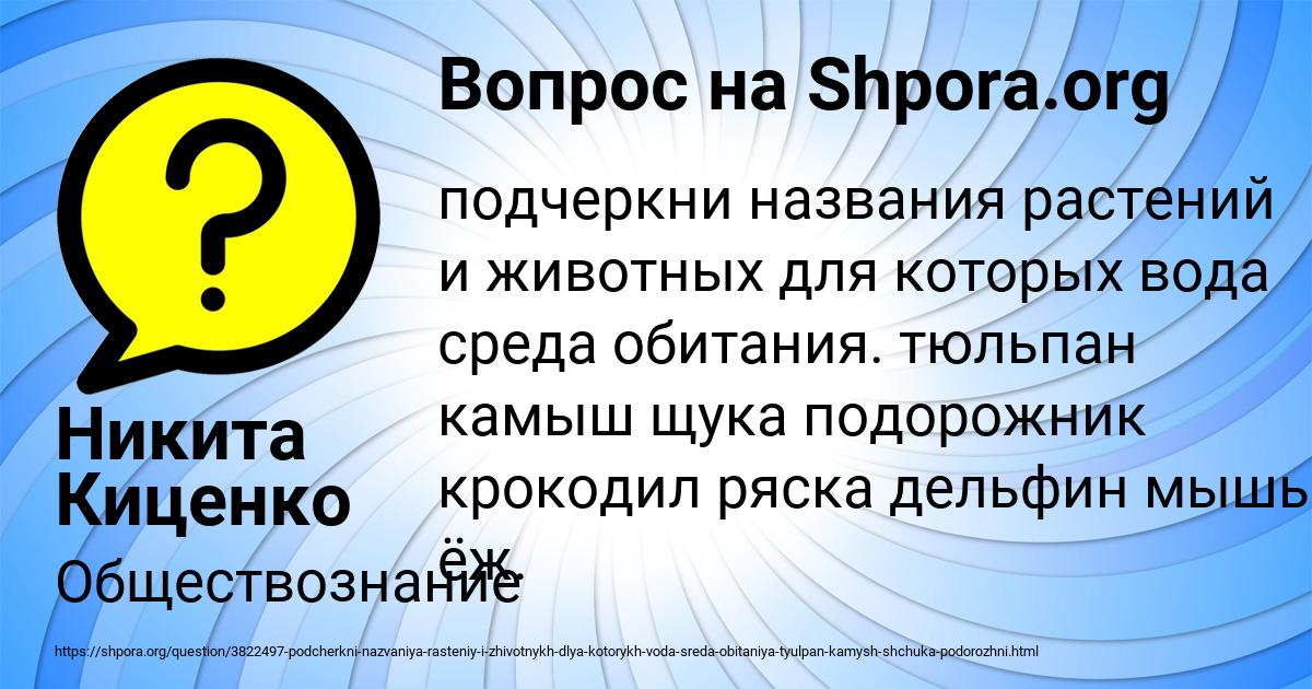 Картинка с текстом вопроса от пользователя Никита Киценко